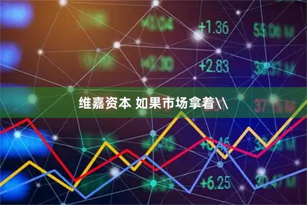 维嘉资本 如果市场拿着\