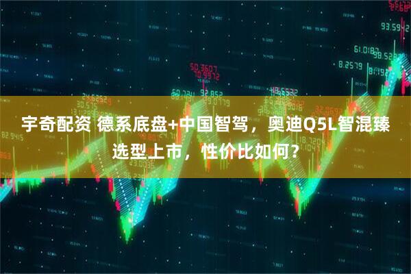宇奇配资 德系底盘+中国智驾，奥迪Q5L智混臻选型上市，性价比如何？
